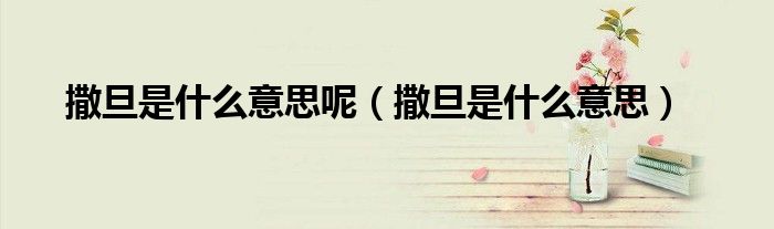 撒旦是什么意思呢（撒旦是什么意思）