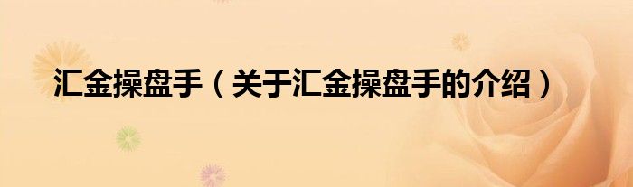 汇金操盘手（关于汇金操盘手的介绍）