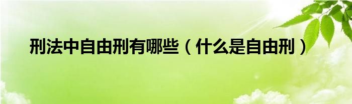 刑法中自由刑有哪些（什么是自由刑）