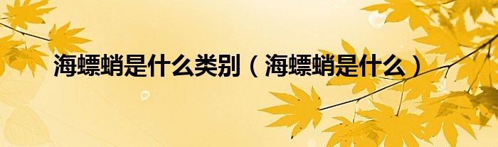 海螵蛸是什么类别（海螵蛸是什么）