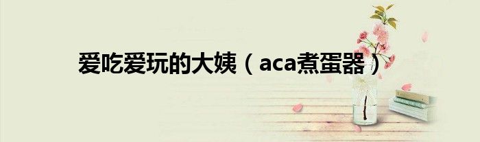爱吃爱玩的大姨（aca煮蛋器）