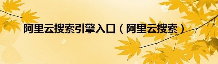 阿里云搜索引擎入口（阿里云搜索）