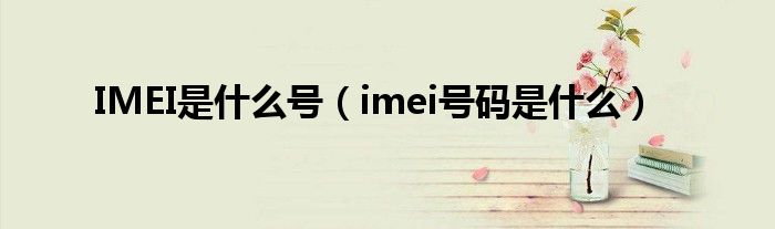 IMEI是什么号（imei号码是什么）