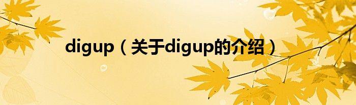 digup（关于digup的介绍）
