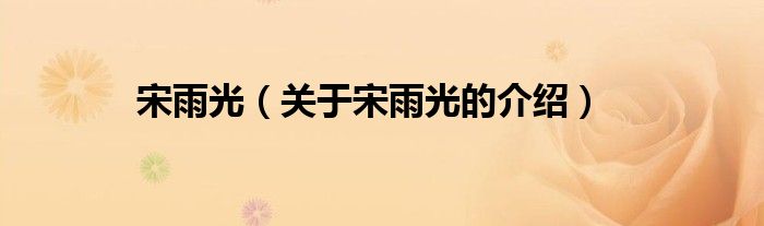 宋雨光（关于宋雨光的介绍）
