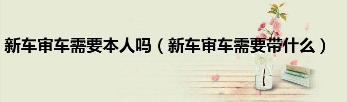 新车审车需要本人吗（新车审车需要带什么）