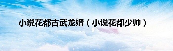 小说花都古武龙婿（小说花都少帅）