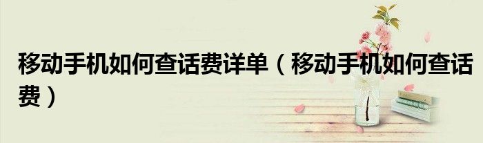 移动手机如何查话费详单（移动手机如何查话费）