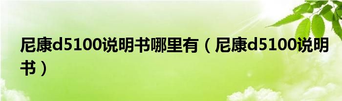 尼康d5100说明书哪里有（尼康d5100说明书）
