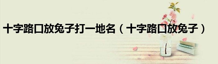 十字路口放兔子打一地名（十字路口放兔子）