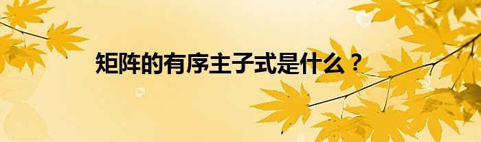 矩阵的有序主子式是什么？