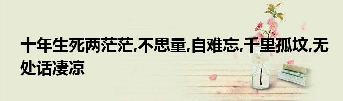 十年生死两茫茫,不思量,自难忘,千里孤坟,无处话凄凉