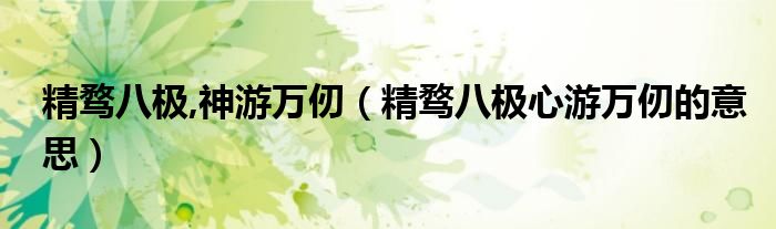 精骛八极,神游万仞（精骛八极心游万仞的意思）