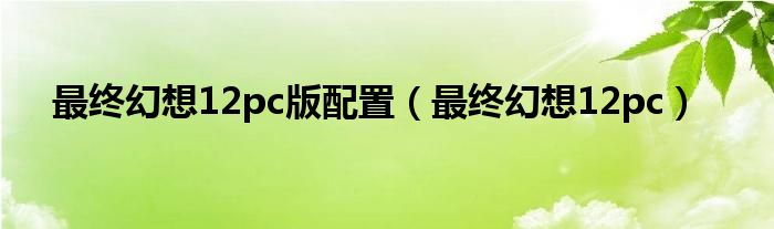最终幻想12pc版配置（最终幻想12pc）