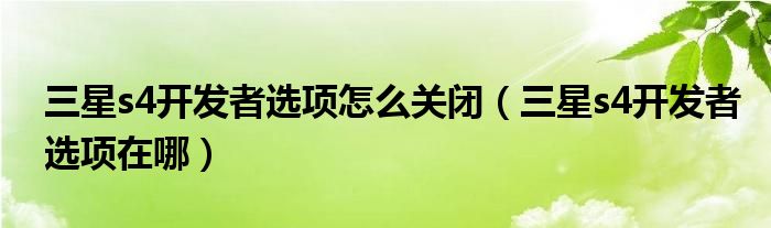 三星s4开发者选项怎么关闭（三星s4开发者选项在哪）