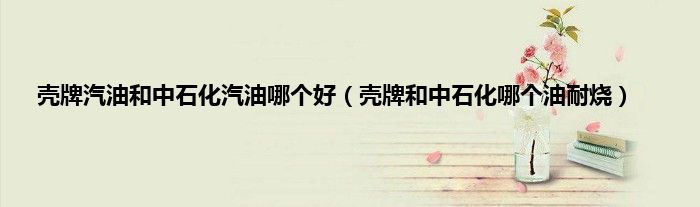 壳牌汽油和中石化汽油哪个好（壳牌和中石化哪个油耐烧）