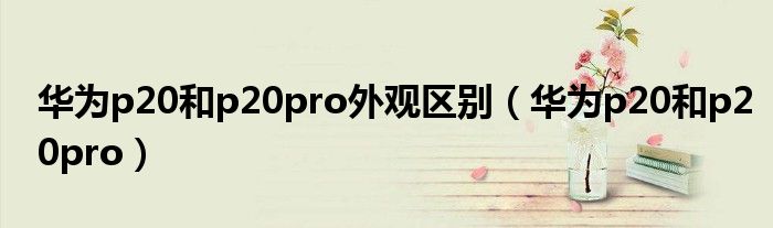 华为p20和p20pro外观区别（华为p20和p20pro）