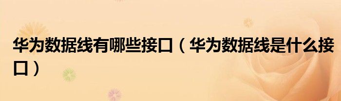 华为数据线有哪些接口（华为数据线是什么接口）