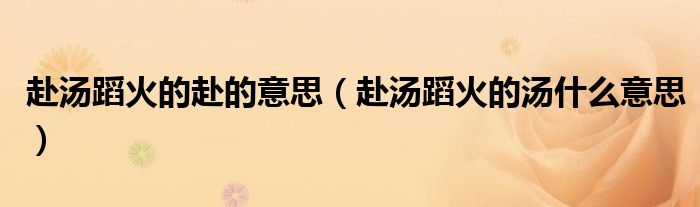 赴汤蹈火的赴的意思(赴汤蹈火的汤什么意思)