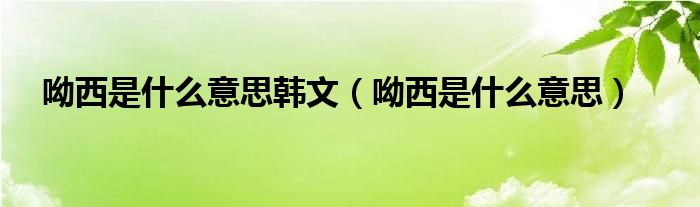 呦西是什么意思韩文（呦西是什么意思）