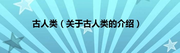 古人类（关于古人类的介绍）