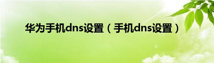 华为手机dns设置（手机dns设置）