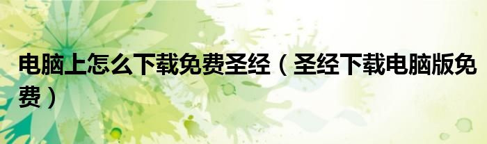电脑上怎么下载免费圣经（圣经下载电脑版免费）