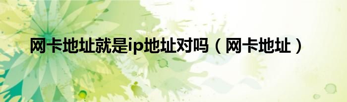 网卡地址就是ip地址对吗（网卡地址）