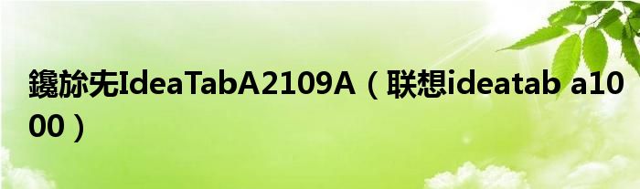 鑱旀兂IdeaTabA2109A（联想ideatab a1000）