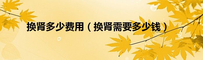 换肾多少费用（换肾需要多少钱）