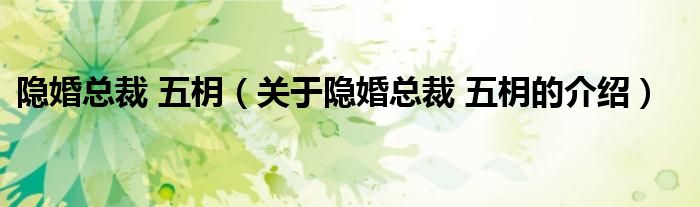 隐婚总裁 五枂（关于隐婚总裁 五枂的介绍）