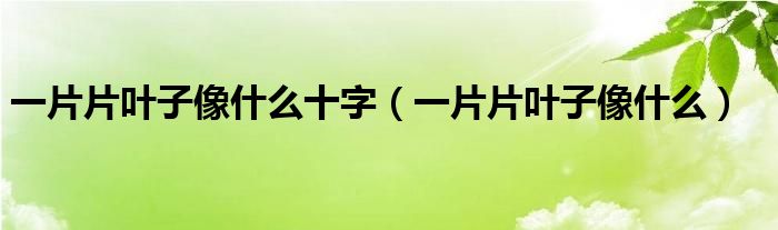 一片片叶子像什么十字（一片片叶子像什么）