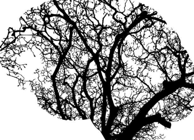 人工智能在识别图像方面比人类更差